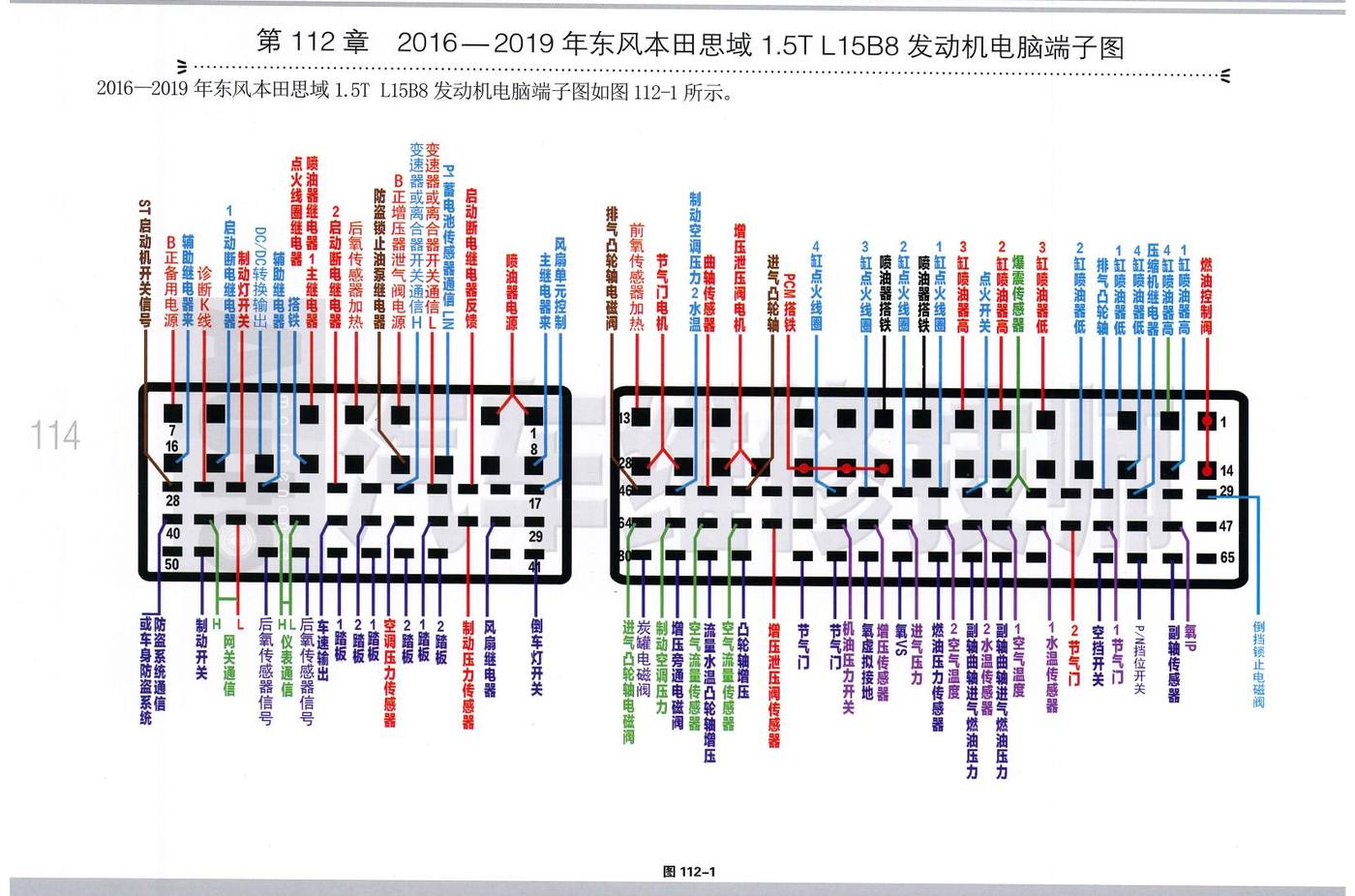 2016—2019年东风本田思域1.5T L15B8 发动机电脑端子