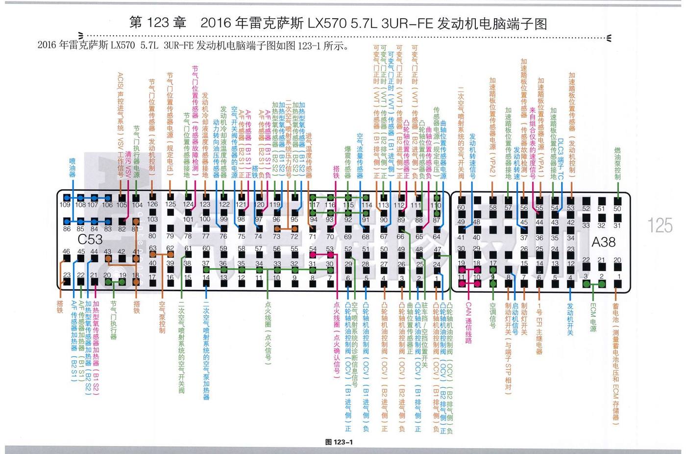2016年雷克萨斯 LX570 5.7L 3UR-FE 发动机电脑端子