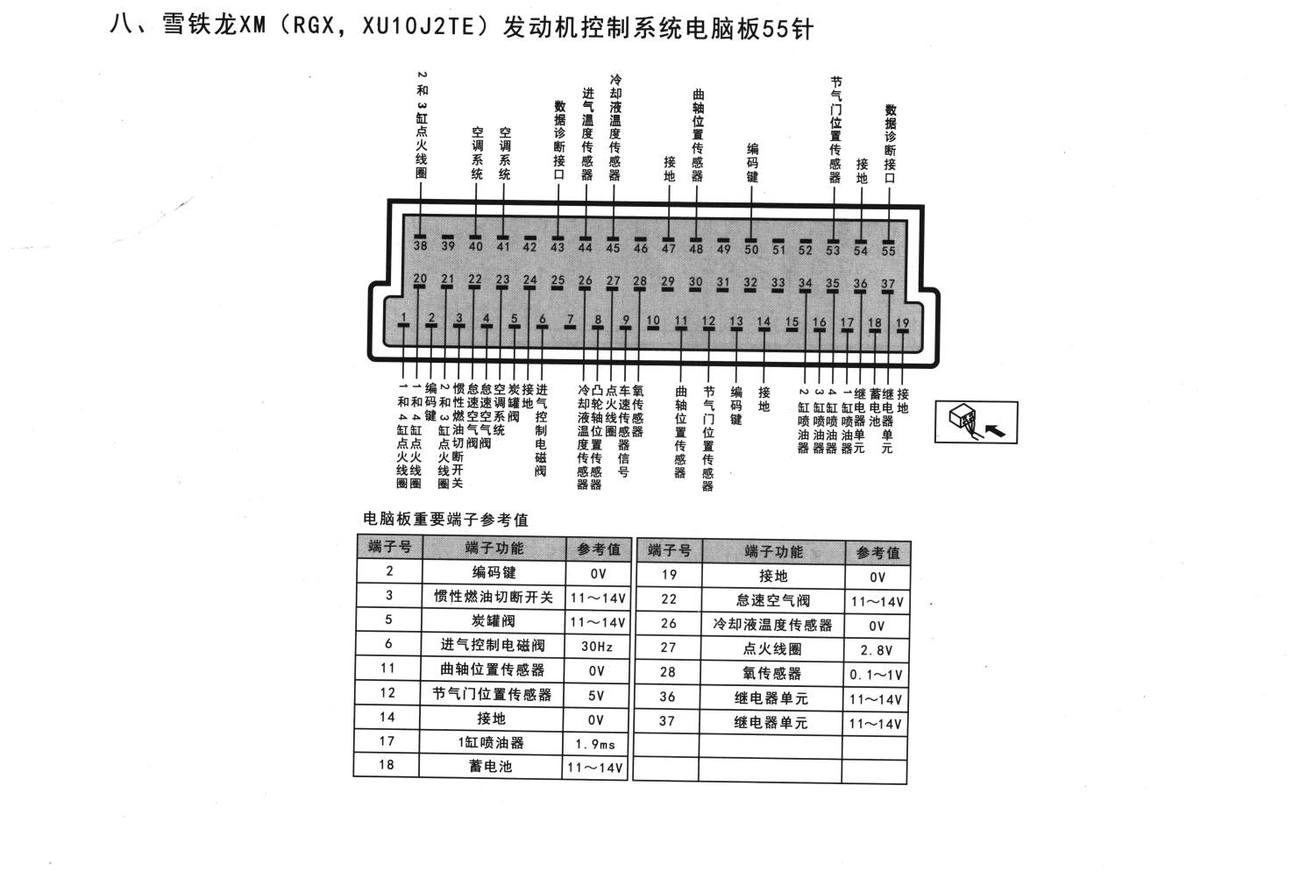 雪铁龙车系雪铁龙XM(RGX,XU10J2TE)发动机控制系统电脑板55针端子