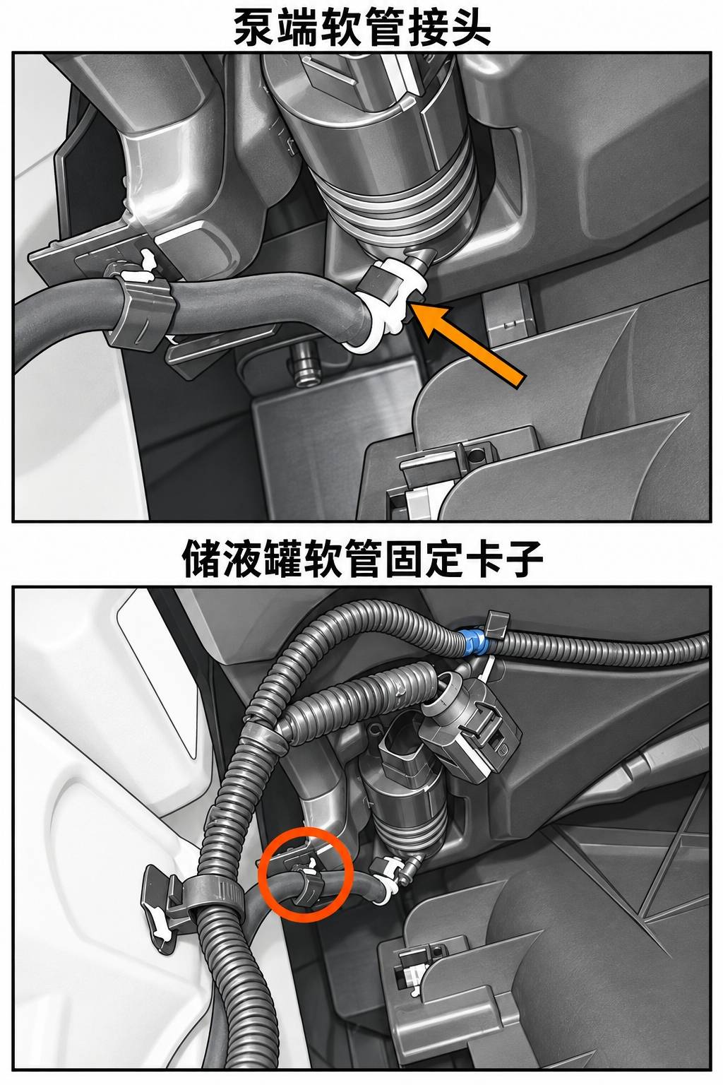 2024+ 特斯拉 Model 3 清洗软管更换:4个车身卡子与前摄像头支路-图片2